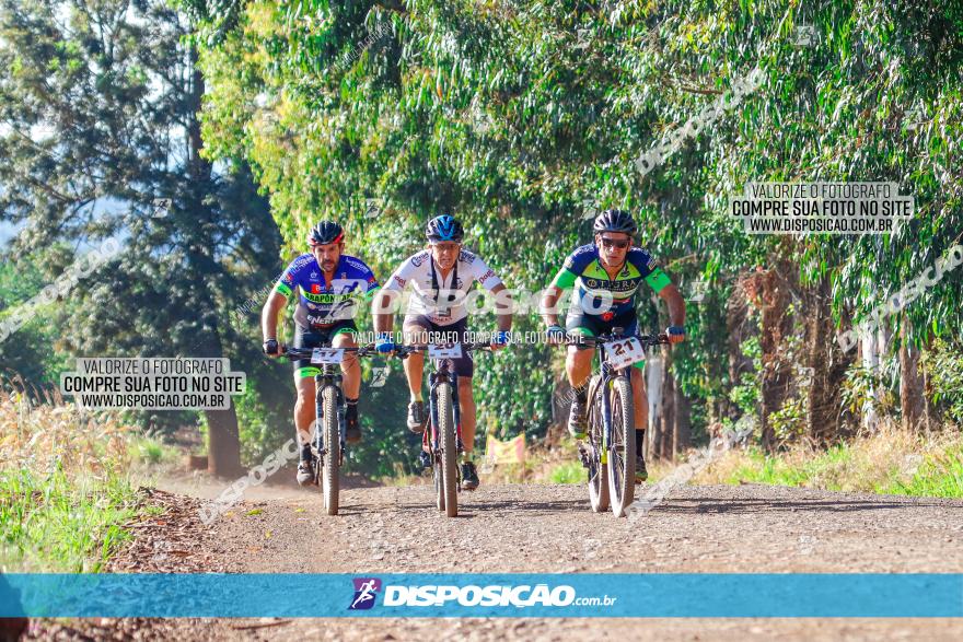 GP Godoy Moreira de XCM