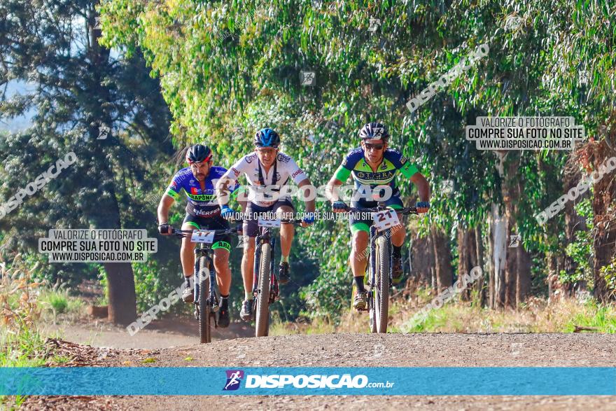 GP Godoy Moreira de XCM