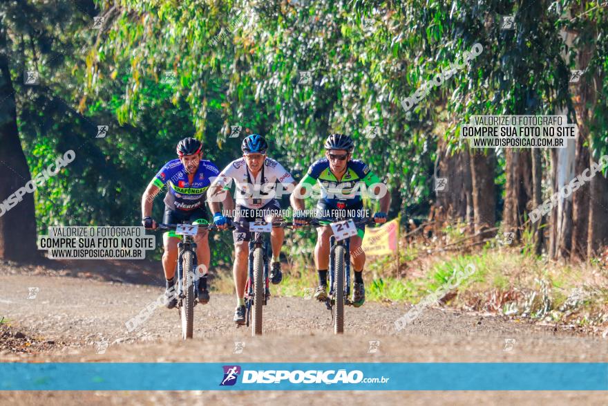 GP Godoy Moreira de XCM