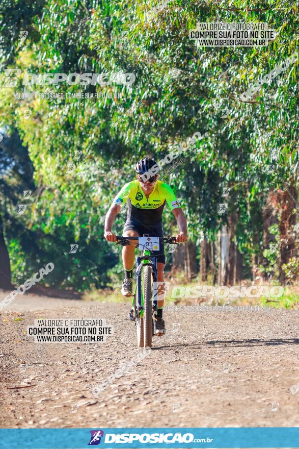 GP Godoy Moreira de XCM