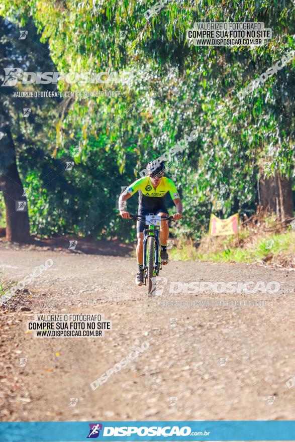 GP Godoy Moreira de XCM