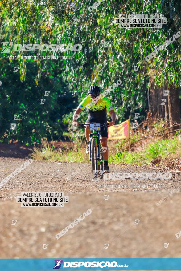 GP Godoy Moreira de XCM