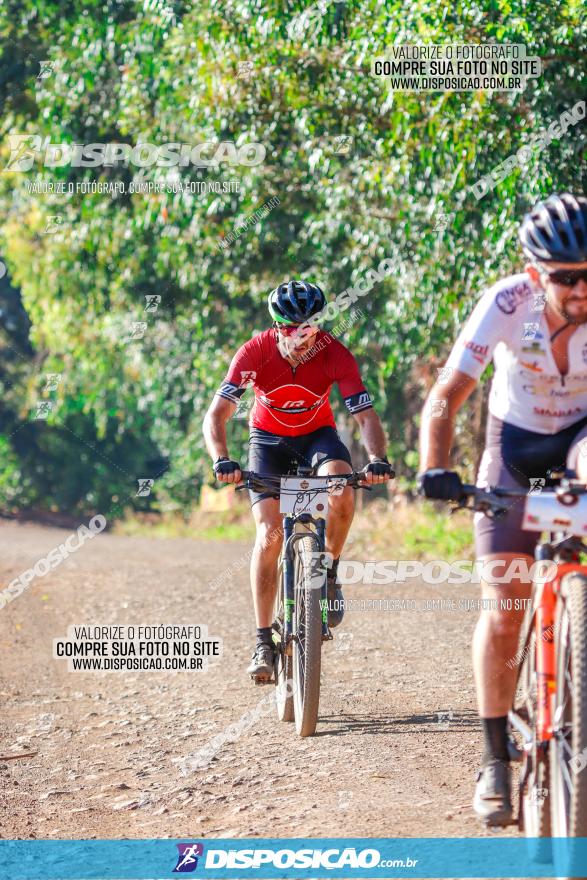 GP Godoy Moreira de XCM