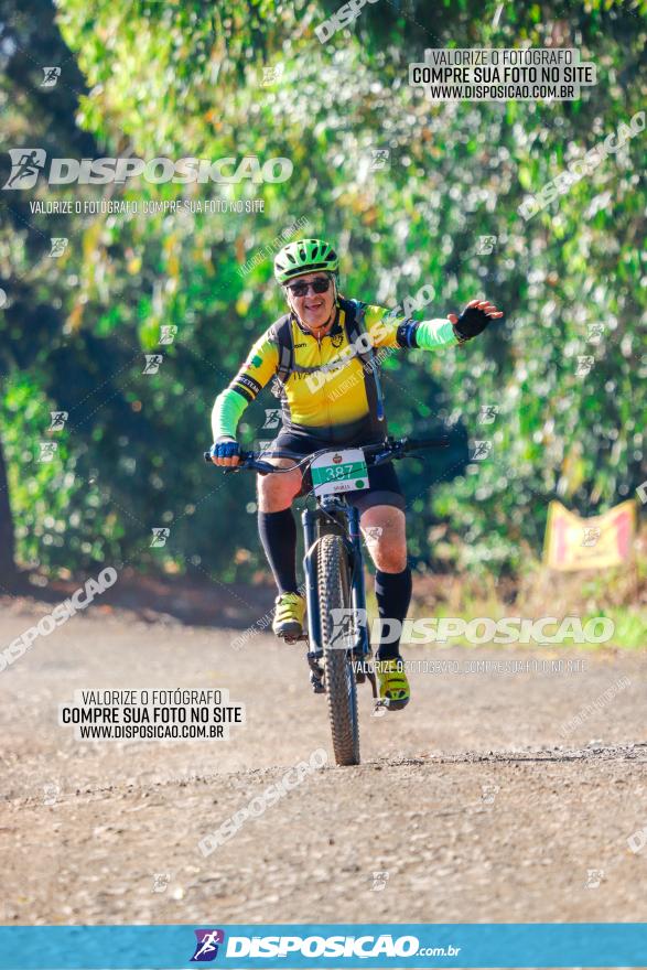 GP Godoy Moreira de XCM