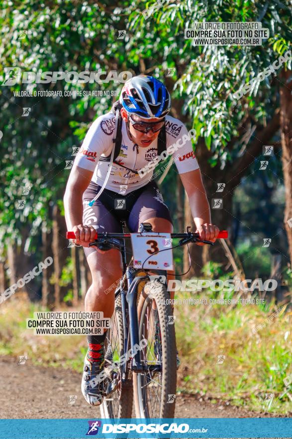 GP Godoy Moreira de XCM