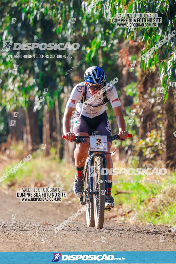 GP Godoy Moreira de XCM