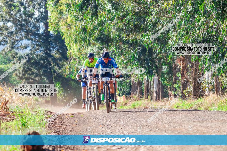 GP Godoy Moreira de XCM