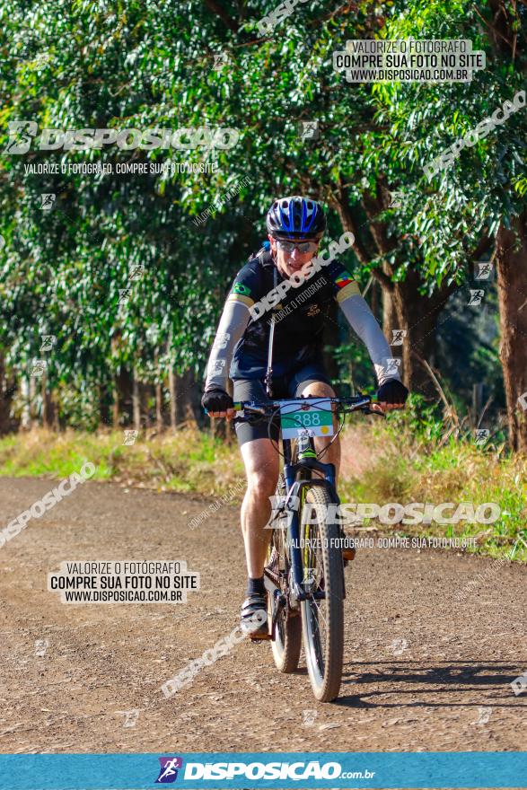 GP Godoy Moreira de XCM