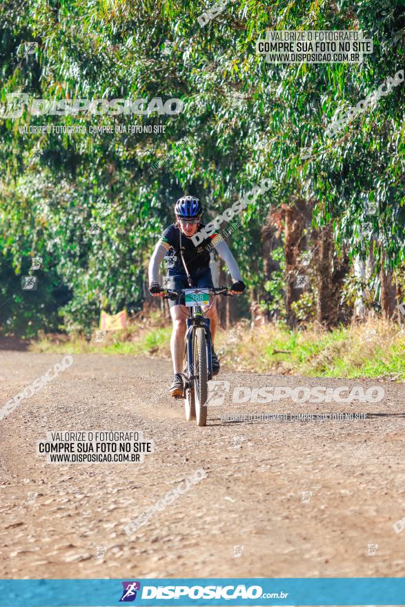 GP Godoy Moreira de XCM