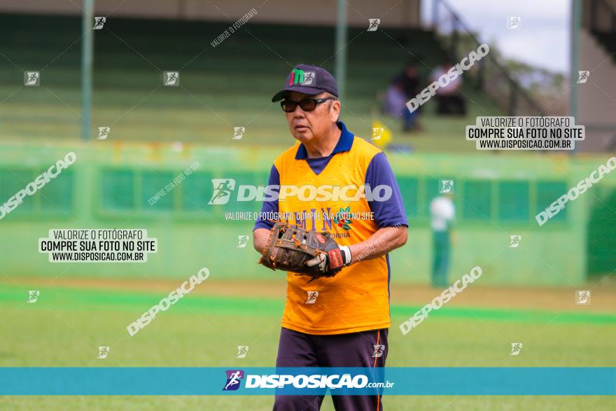 XXXII Brasileirão de Softbol