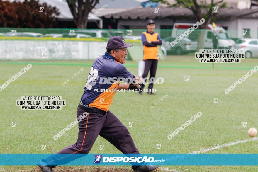 XXXII Brasileirão de Softbol