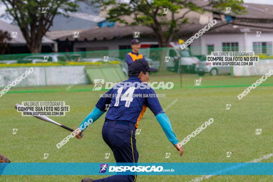 XXXII Brasileirão de Softbol