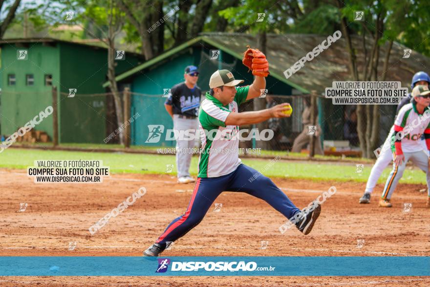 XXXII Brasileirão de Softbol