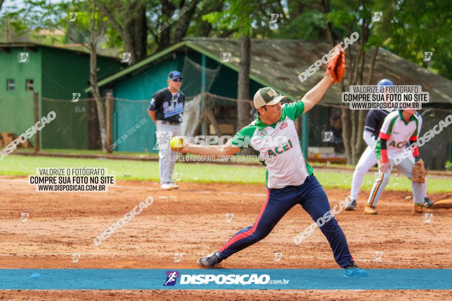 XXXII Brasileirão de Softbol