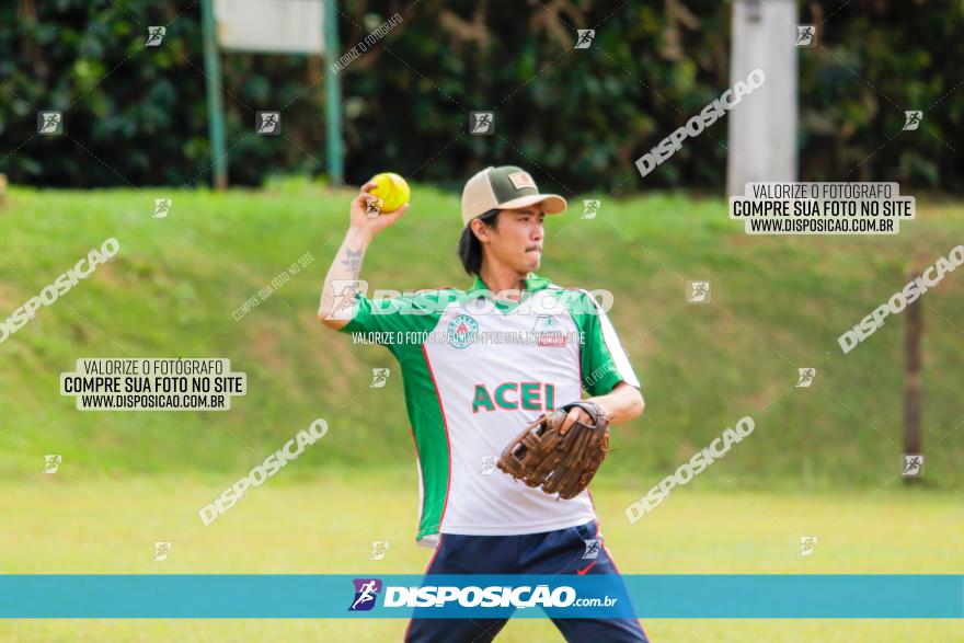 XXXII Brasileirão de Softbol