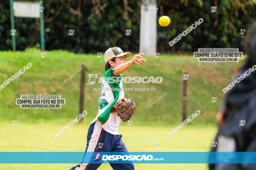 XXXII Brasileirão de Softbol