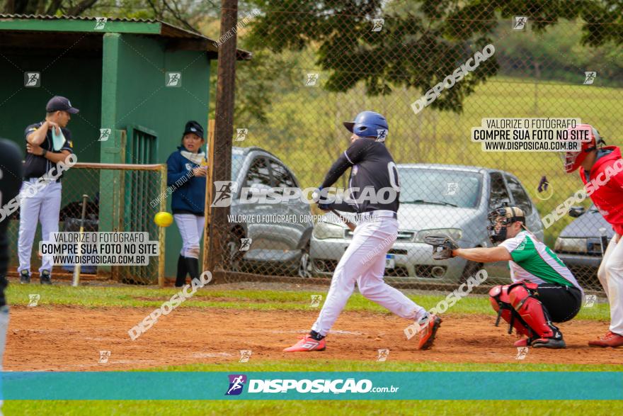 XXXII Brasileirão de Softbol