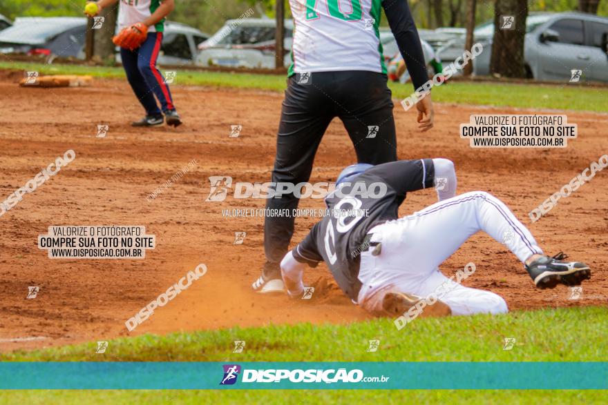 XXXII Brasileirão de Softbol