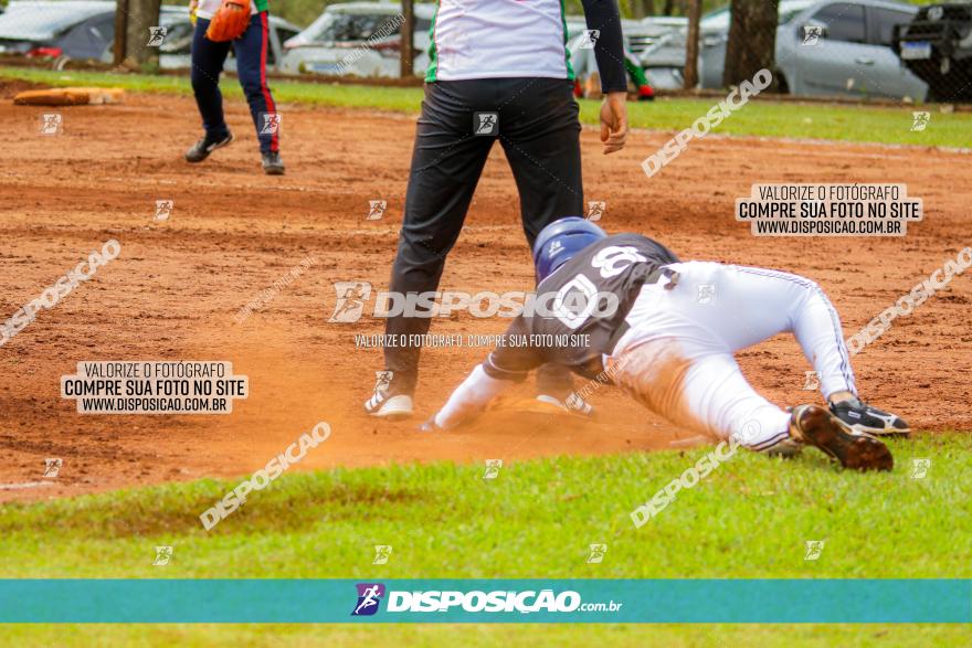 XXXII Brasileirão de Softbol