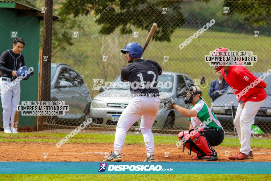 XXXII Brasileirão de Softbol