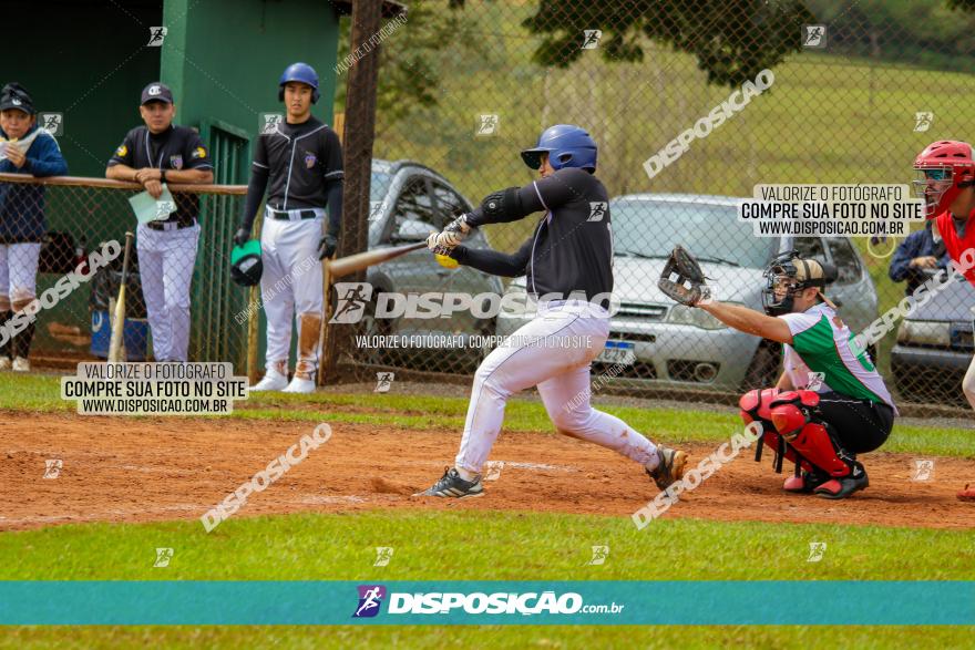 XXXII Brasileirão de Softbol