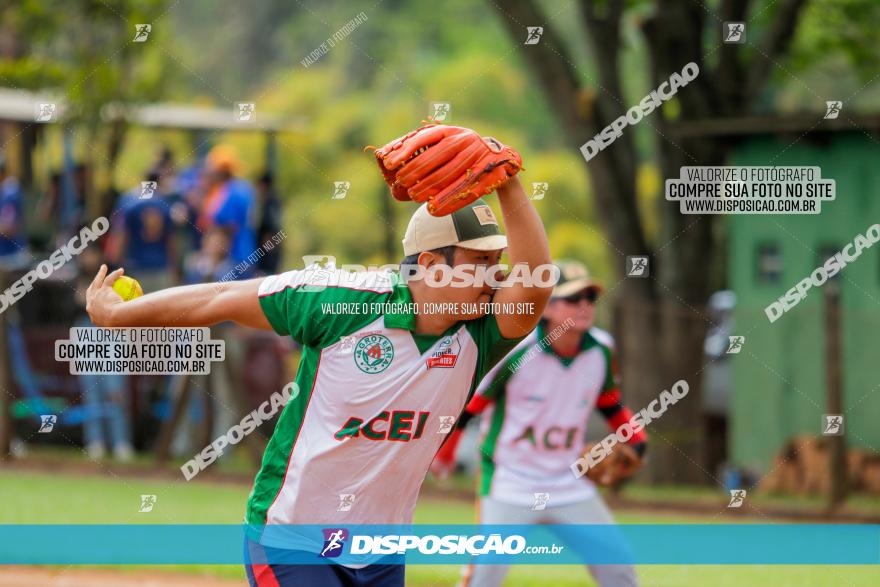 XXXII Brasileirão de Softbol