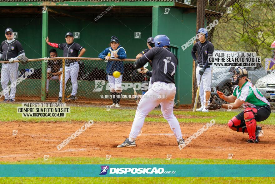 XXXII Brasileirão de Softbol