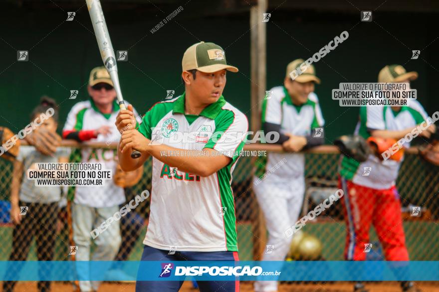 XXXII Brasileirão de Softbol