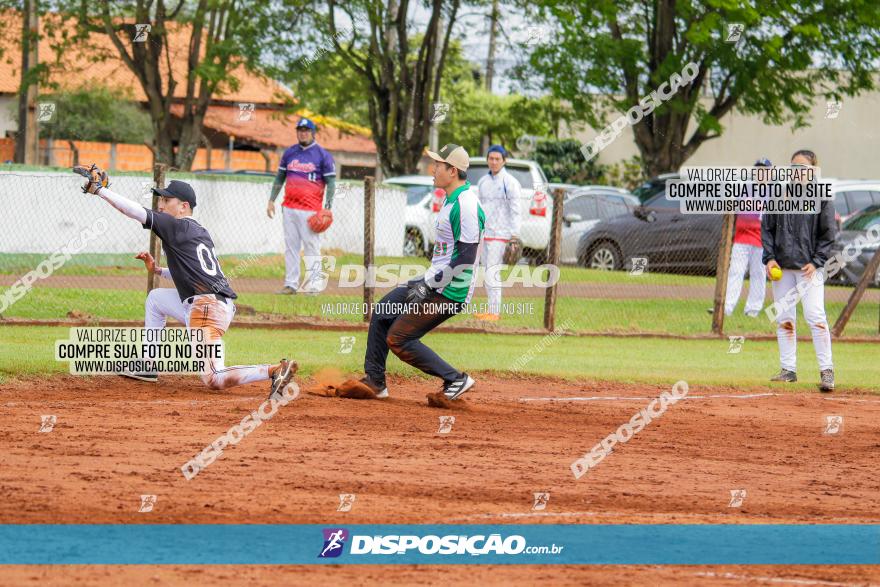 XXXII Brasileirão de Softbol