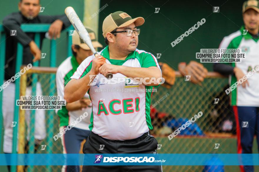 XXXII Brasileirão de Softbol