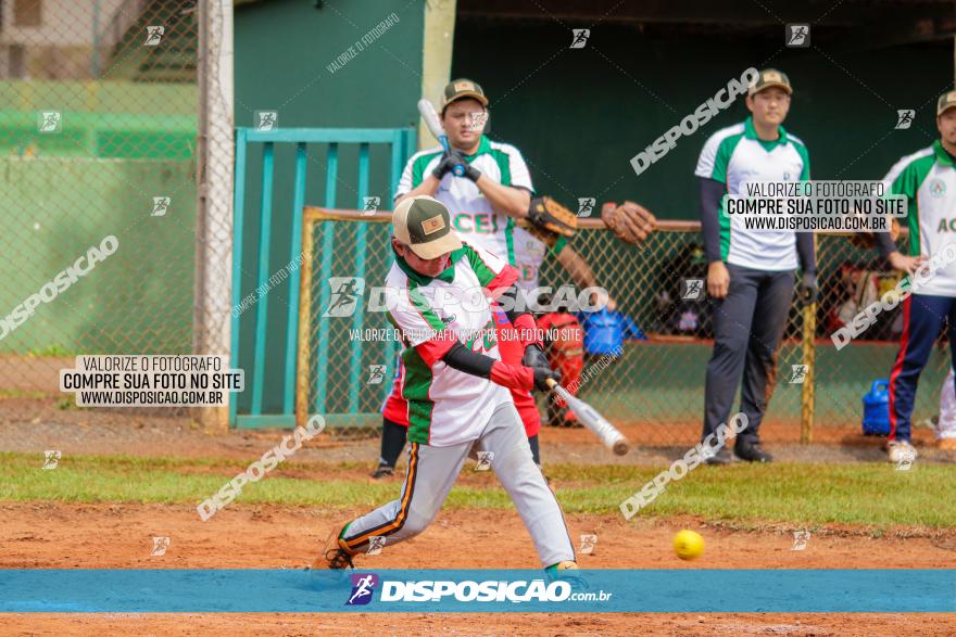 XXXII Brasileirão de Softbol