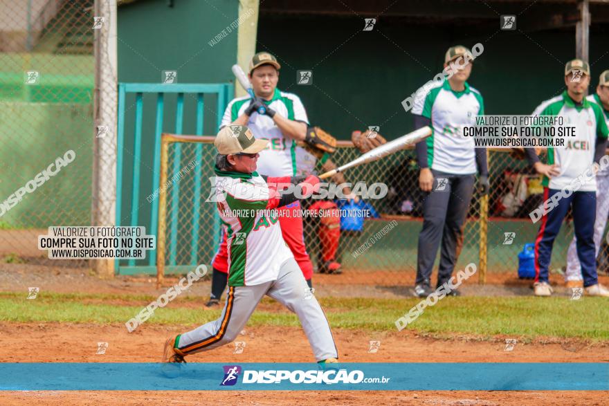 XXXII Brasileirão de Softbol