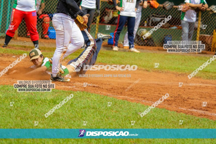 XXXII Brasileirão de Softbol