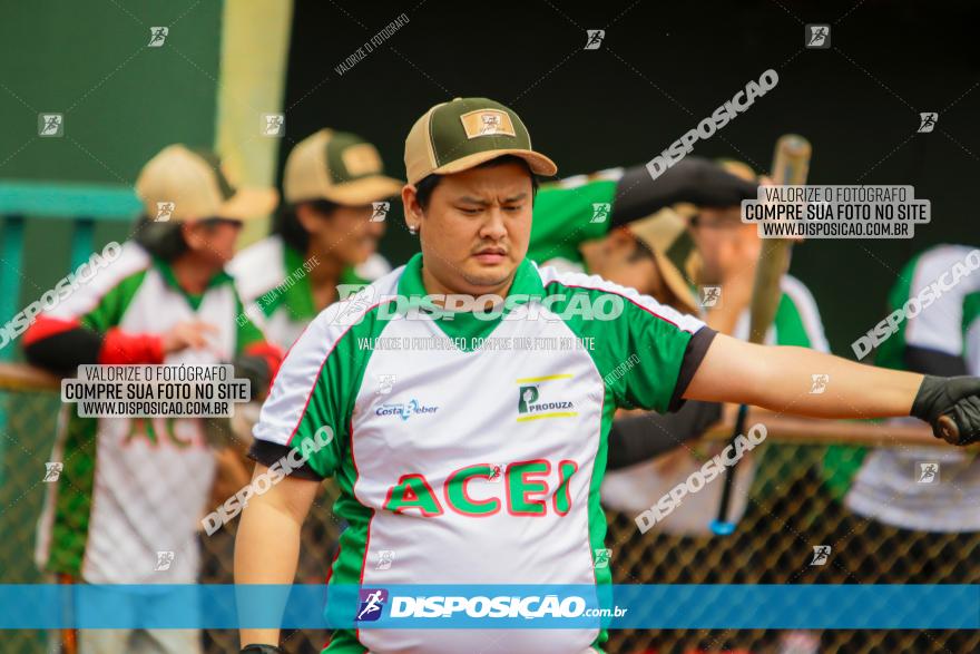 XXXII Brasileirão de Softbol