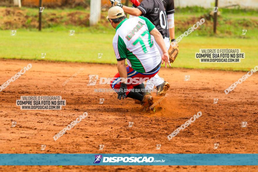 XXXII Brasileirão de Softbol