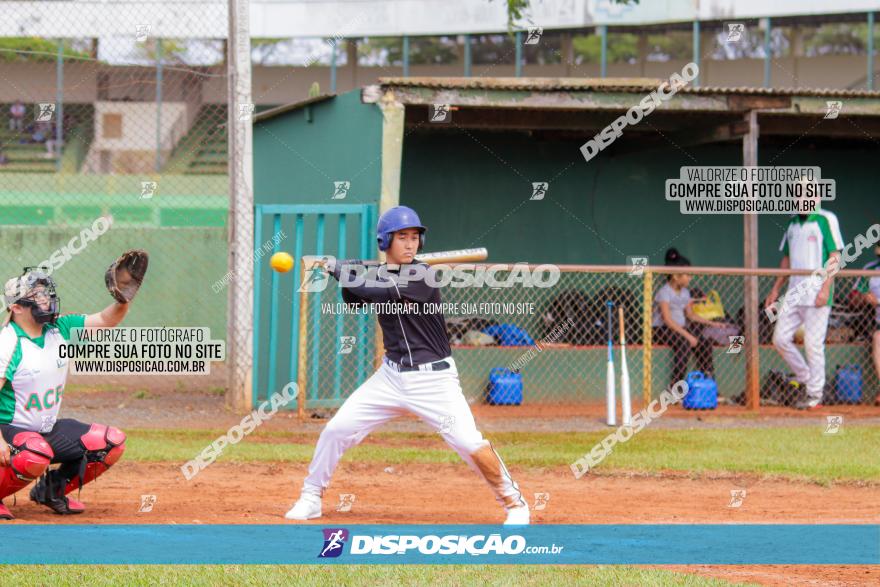 XXXII Brasileirão de Softbol