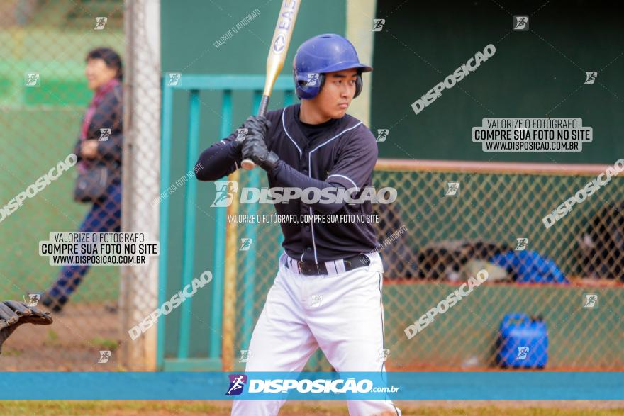 XXXII Brasileirão de Softbol