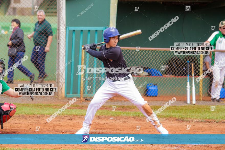 XXXII Brasileirão de Softbol