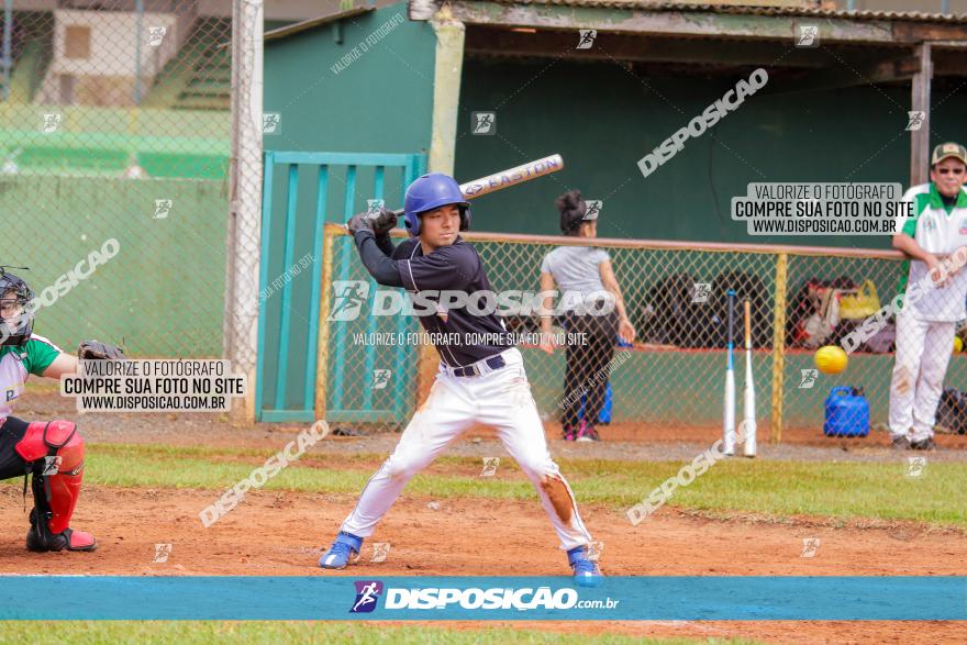 XXXII Brasileirão de Softbol