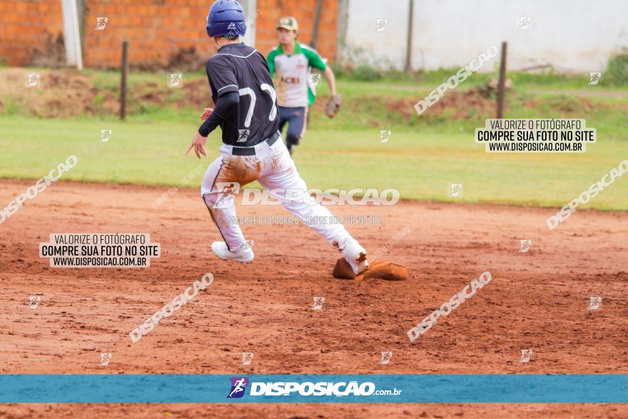 XXXII Brasileirão de Softbol