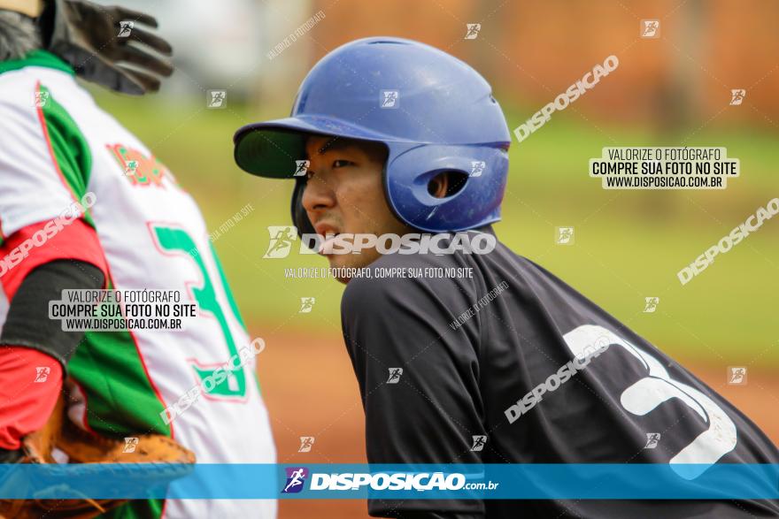 XXXII Brasileirão de Softbol