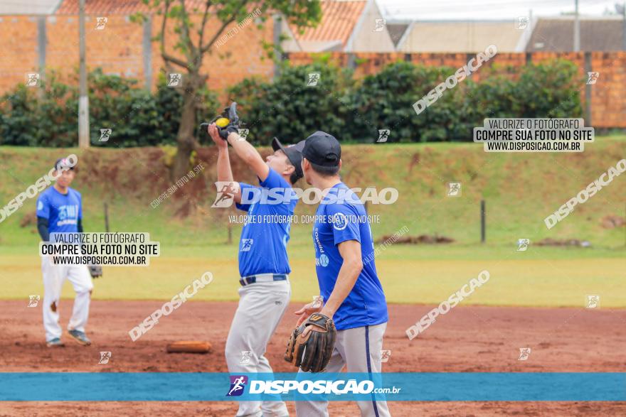 XXXII Brasileirão de Softbol