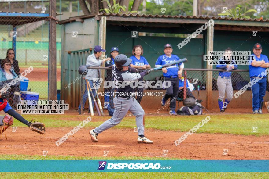 XXXII Brasileirão de Softbol