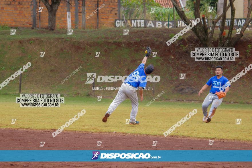 XXXII Brasileirão de Softbol