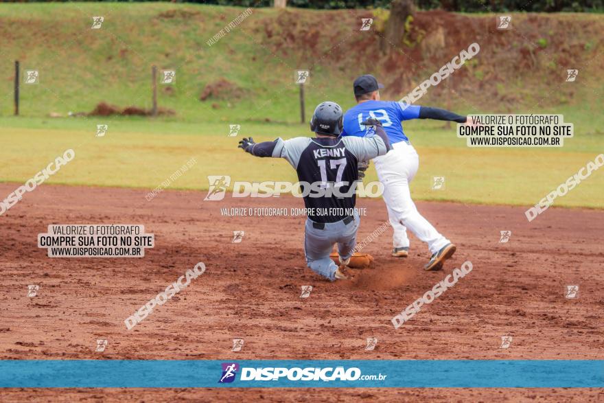 XXXII Brasileirão de Softbol