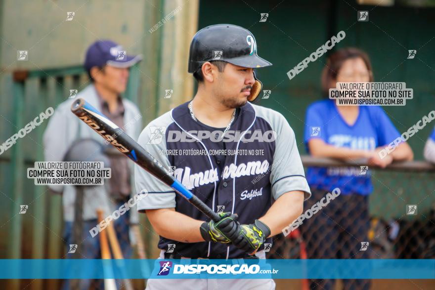 XXXII Brasileirão de Softbol