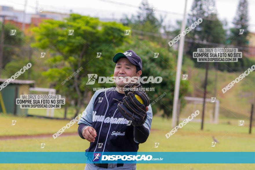 XXXII Brasileirão de Softbol