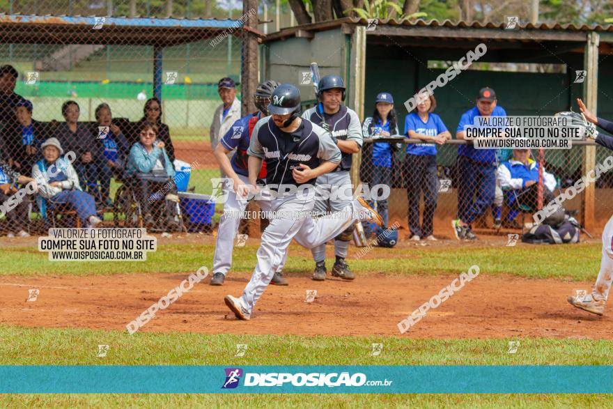 XXXII Brasileirão de Softbol