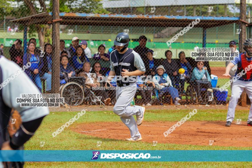 XXXII Brasileirão de Softbol