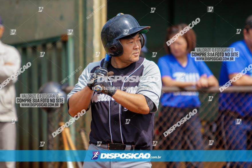 XXXII Brasileirão de Softbol